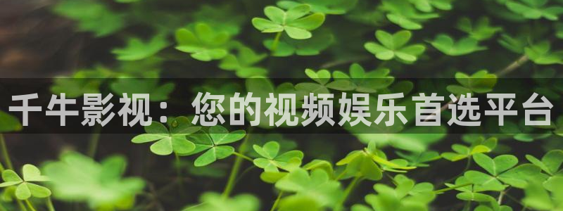电视剧三米影视：千牛影视：您的视频娱乐首选平台