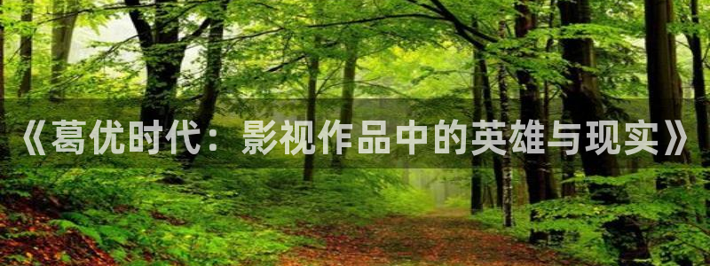 周末同床三米影视高清快播：《葛优时代：影视作品中的英雄与现实》