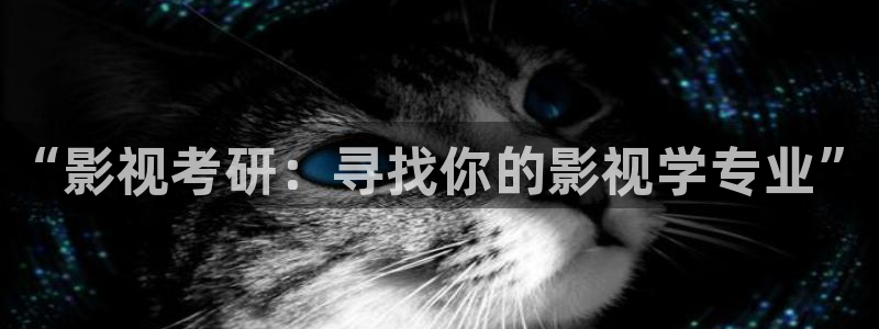 神马影院三米：“影视考研：寻找你的影视学专业”