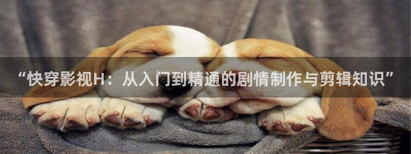 三米影视2024年最新电视剧：“快穿影视H：从入门到精通的剧情制作与剪辑知识”