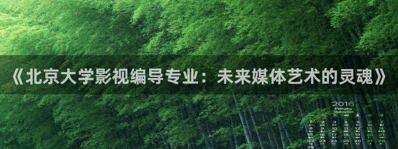 三米影视：《北京大学影视编导专业：未来媒体艺术的灵魂》