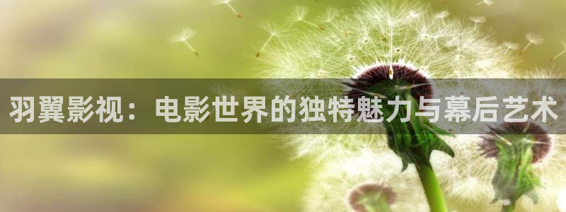 三米影视网：羽翼影视：电影世界的独特魅力与幕后艺术