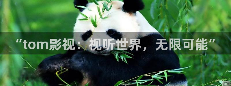 三米影视大陆剧大全：“tom影视：视听世界，无限可能”