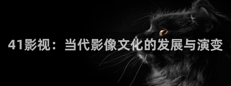 三米影视君九龄：41影视：当代影像文化的发展与演变