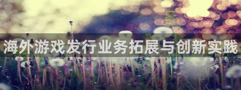 新城平台终7O777：海外游戏发行业务拓展与创新实践